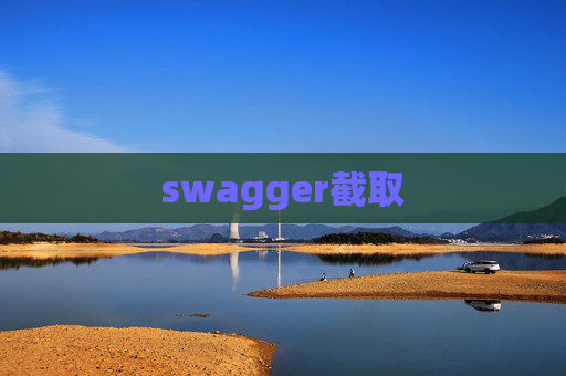 swagger截取